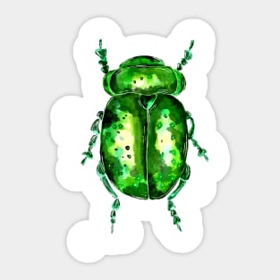 Green Big Beetle Sticker